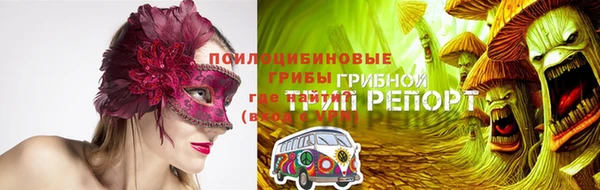 ECSTASY Аркадак