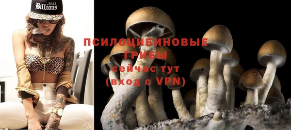 ECSTASY Аркадак